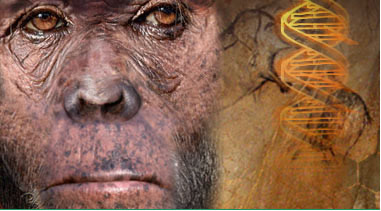 uomoscimmia