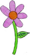 Fiore